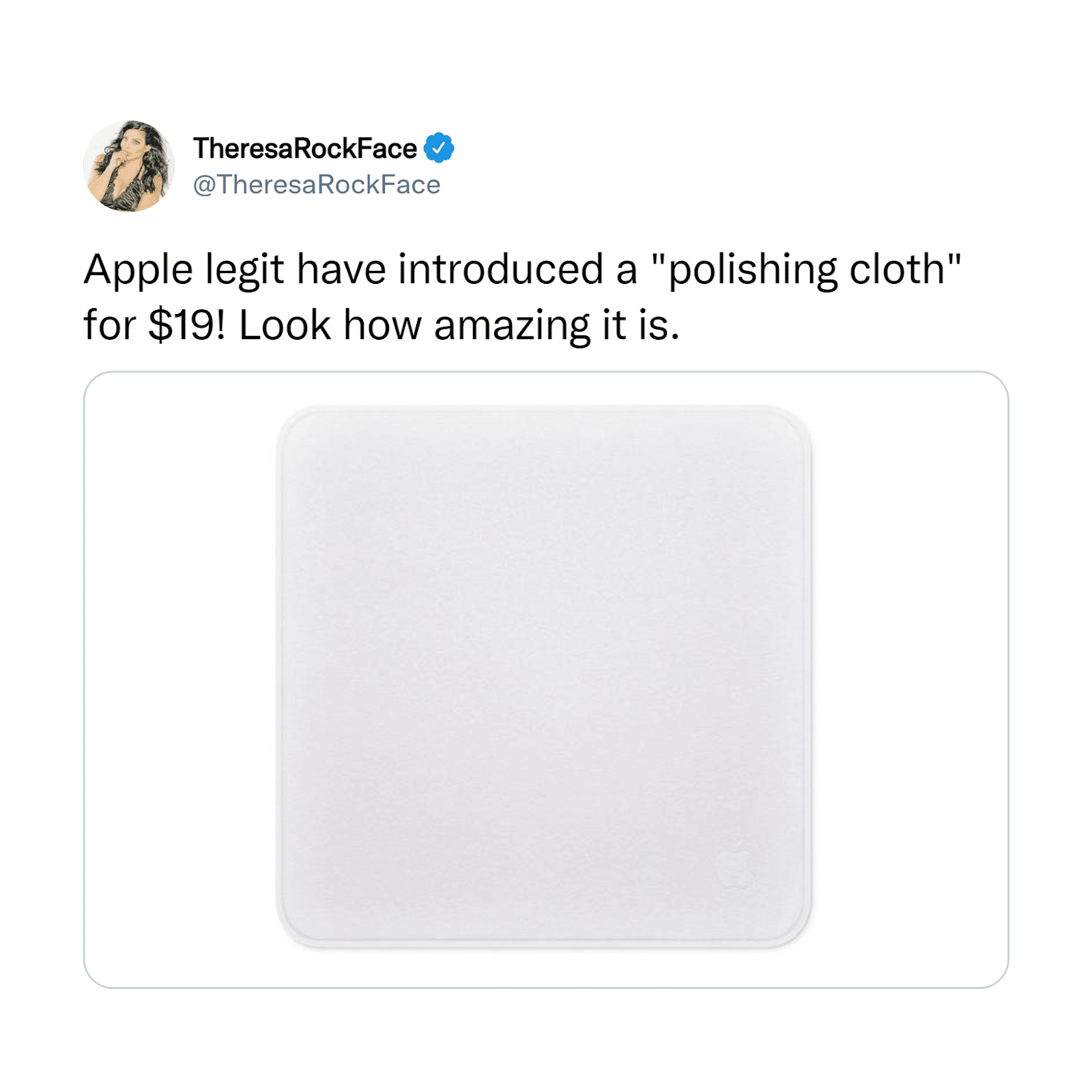 The Apple Polishing Cloth Is Everything Wrong With Society